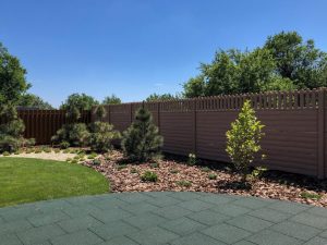 (100+ photos et vidéos)