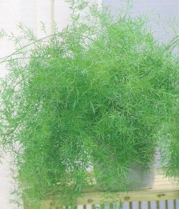 (50+ Photos & Vidéos) + Avis