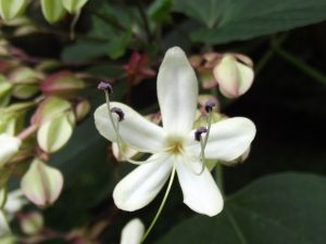 (65+ Photos & Vidéos) + Avis