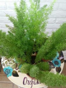 (50+ Photos & Vidéos) + Avis