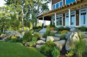 (100+ photos et vidéos)