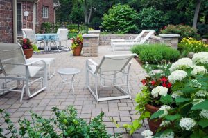 (100+ photos et vidéos)