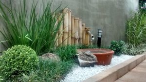 (100+ photos et vidéos)