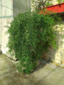 (50+ Photos & Vidéos) + Avis