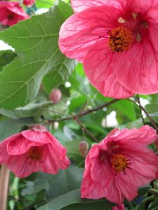 (50+ Photos & Vidéos) + Avis