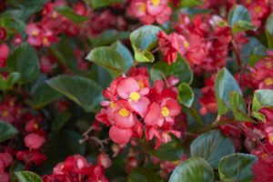 (45+ Photos & Vidéos) + Avis