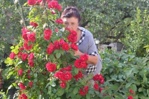 (75 Photos & Vidéos) +Avis