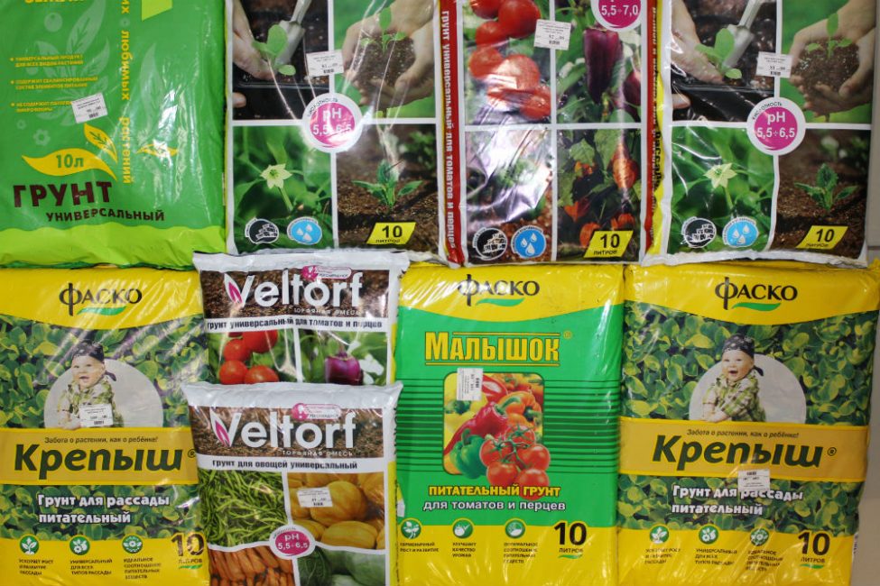 Pour le développement complet des semis, les options achetées doivent être modifiées