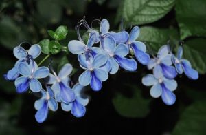 (65+ Photos & Vidéos) + Avis