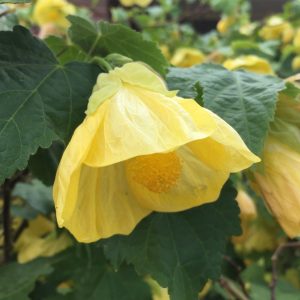 (50+ Photos & Vidéos) + Avis