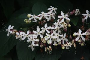 (65+ Photos & Vidéos) + Avis