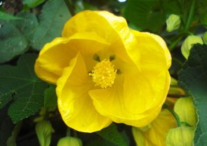 (50+ Photos & Vidéos) + Avis