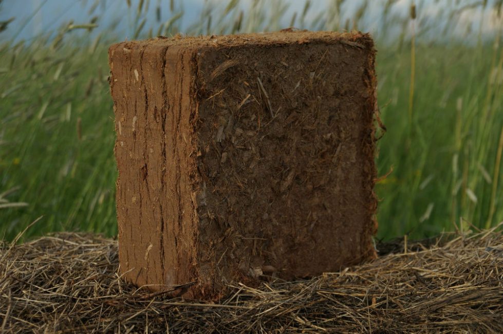 Substrat de noix de coco en briquette