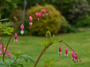 (65+ Photos & Vidéos) + Avis