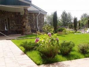 (100+ photos et vidéos)