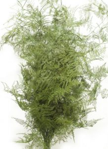 (50+ Photos & Vidéos) + Avis