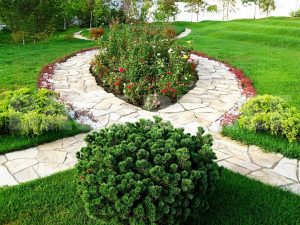 (100+ photos et vidéos)