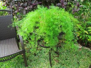 (50+ Photos & Vidéos) + Avis