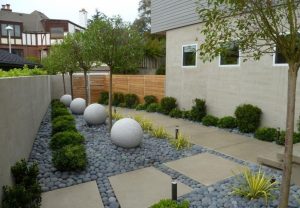 (100+ photos et vidéos)