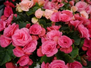 (45+ Photos & Vidéos) + Avis