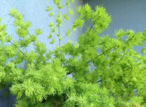 (50+ Photos & Vidéos) + Avis