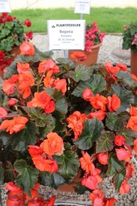 (45+ Photos & Vidéos) + Avis