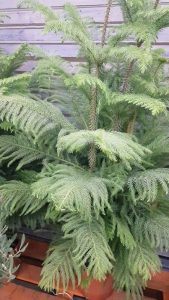 (65+ Photos & Vidéos) + Avis