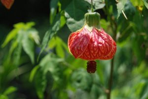 (50+ Photos & Vidéos) + Avis