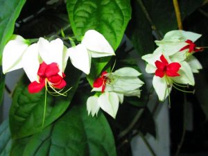 (65+ Photos & Vidéos) + Avis