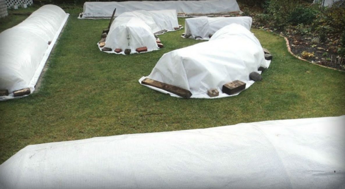 Abri avec spunbond pour l'hiver