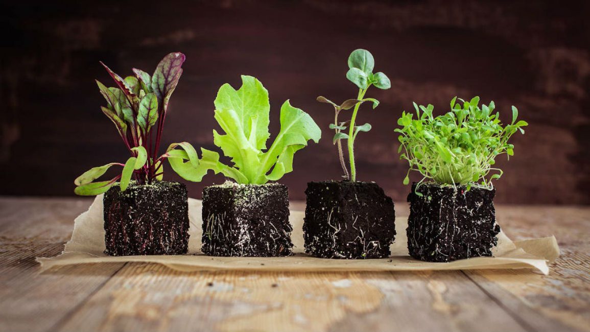 La composition dépend de la culture à laquelle il est destiné.