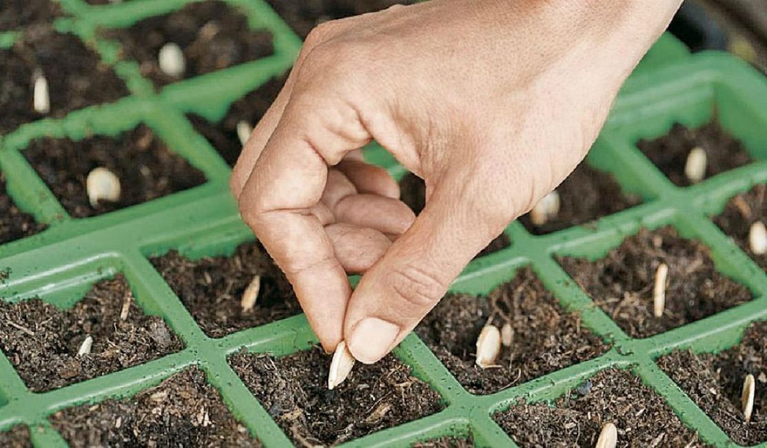 Pour déterminer le timing, vous pouvez vous concentrer sur les données générales et calculer par vous-même