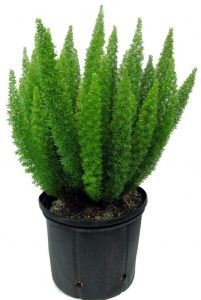 (50+ Photos & Vidéos) + Avis