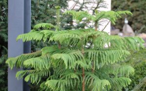 (65+ Photos & Vidéos) + Avis