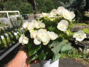 (45+ Photos & Vidéos) + Avis