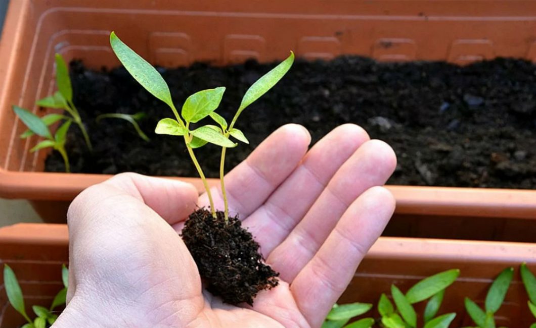 La plongée n'est possible qu'en temps voulu