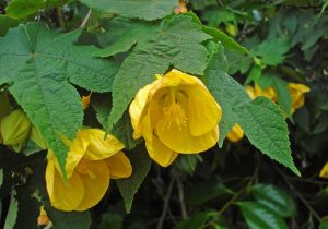 (50+ Photos & Vidéos) + Avis