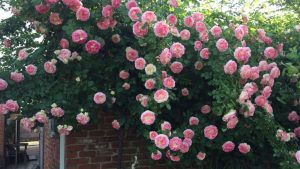 (75 Photos & Vidéos) +Avis