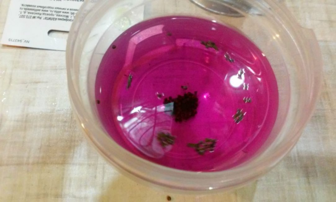 Désinfection au permanganate de potassium