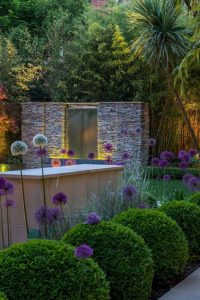 (100+ photos et vidéos)