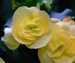 (45+ Photos & Vidéos) + Avis