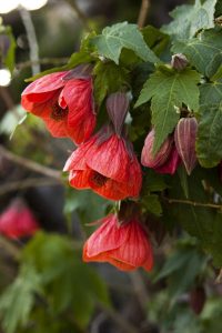 (50+ Photos & Vidéos) + Avis