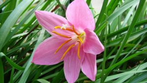 (60+ Photos & Vidéos) + Avis