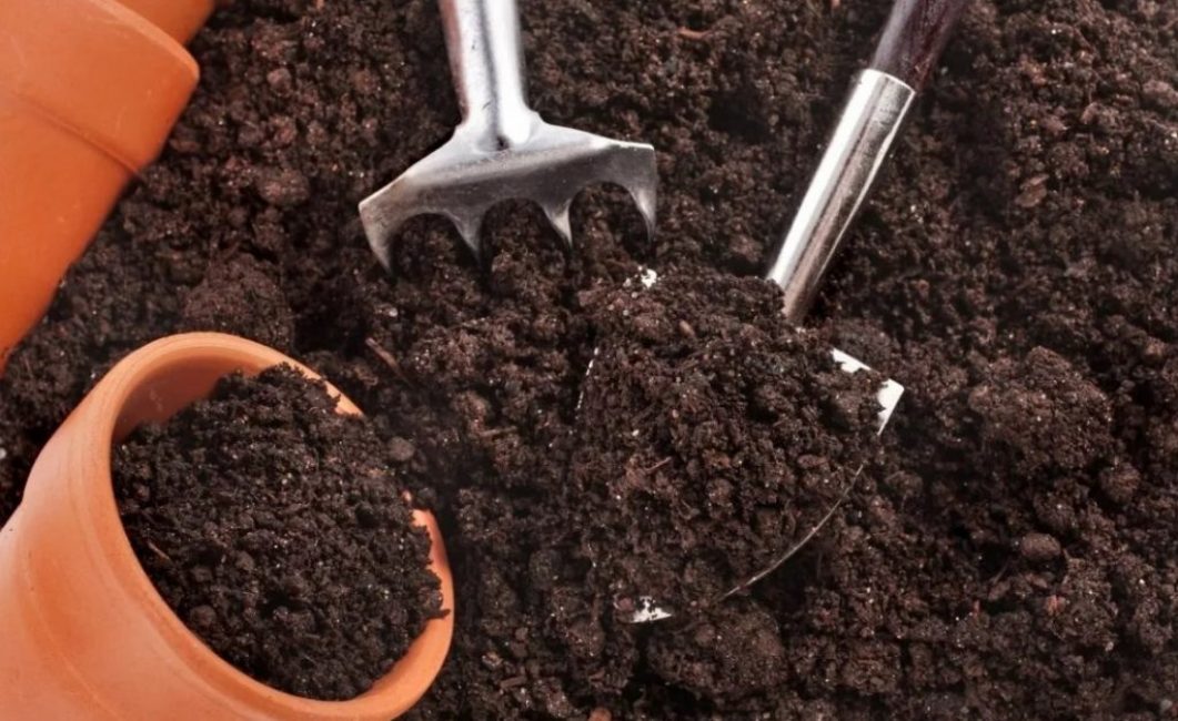 La préparation du sol doit être effectuée conformément à toutes les règles