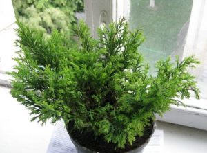 (50+ Photos & Vidéos) + Avis