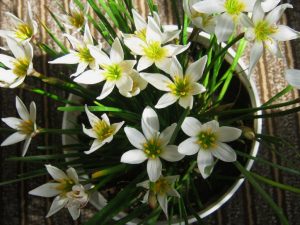 (60+ Photos & Vidéos) + Avis