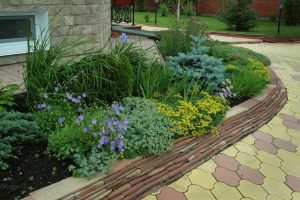 (100+ photos et vidéos)