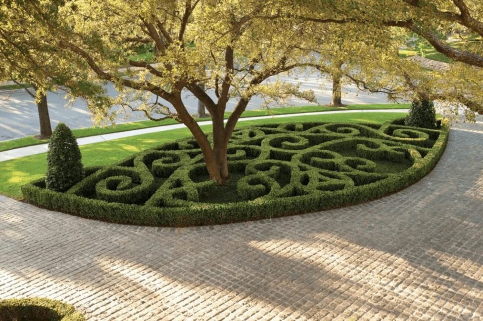 Tapis et labyrinthes d'arbustes vivaces