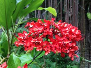 (65+ Photos & Vidéos) + Avis