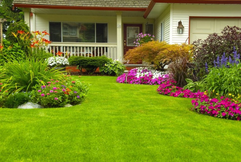 Jardin fleuri sans sentiers traditionnels
